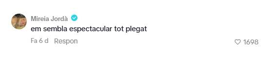 Els comentaris dels vídeos de Manu Rivas / TikTok 