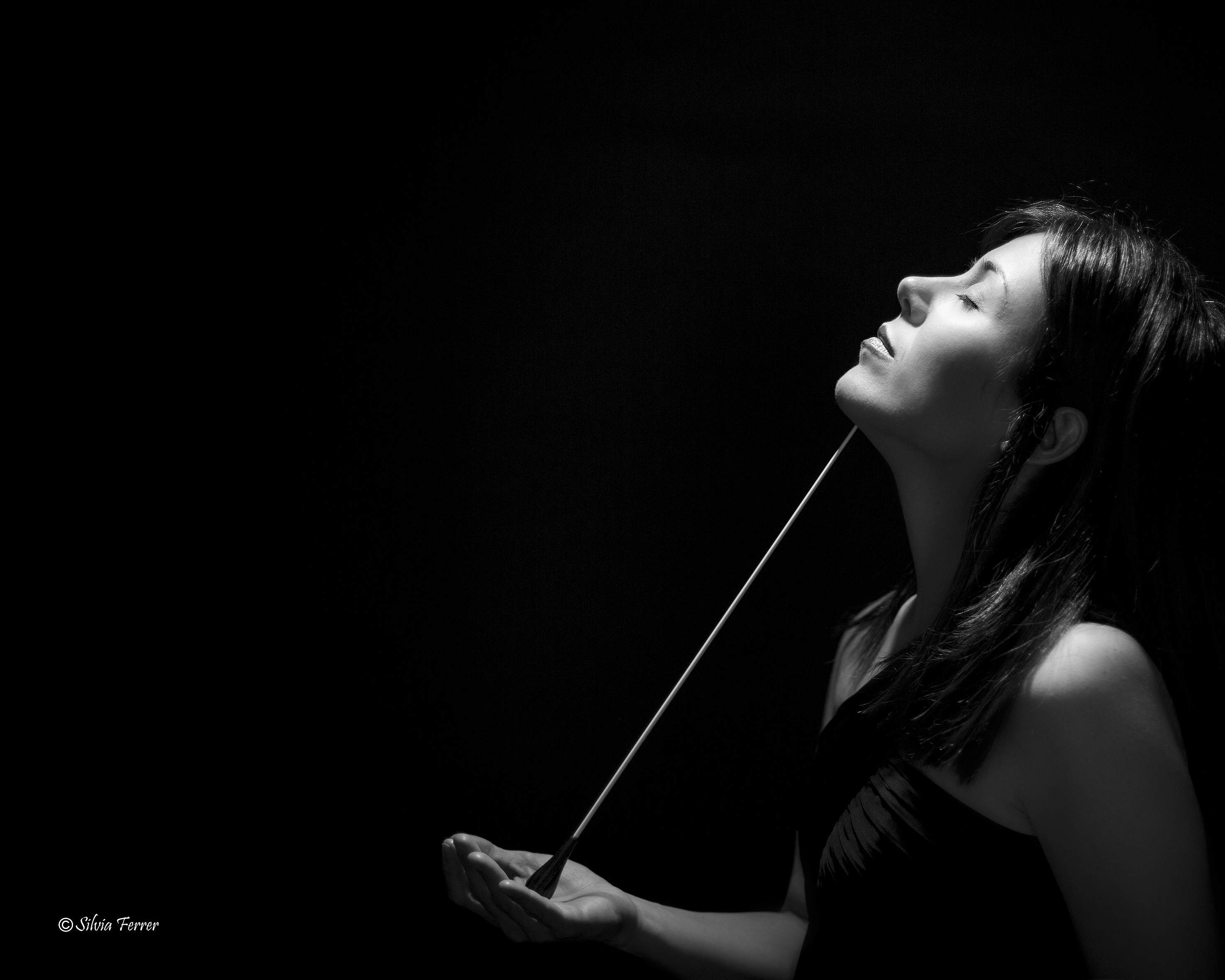 Temporada de clàssica: La 2a de Sibelius