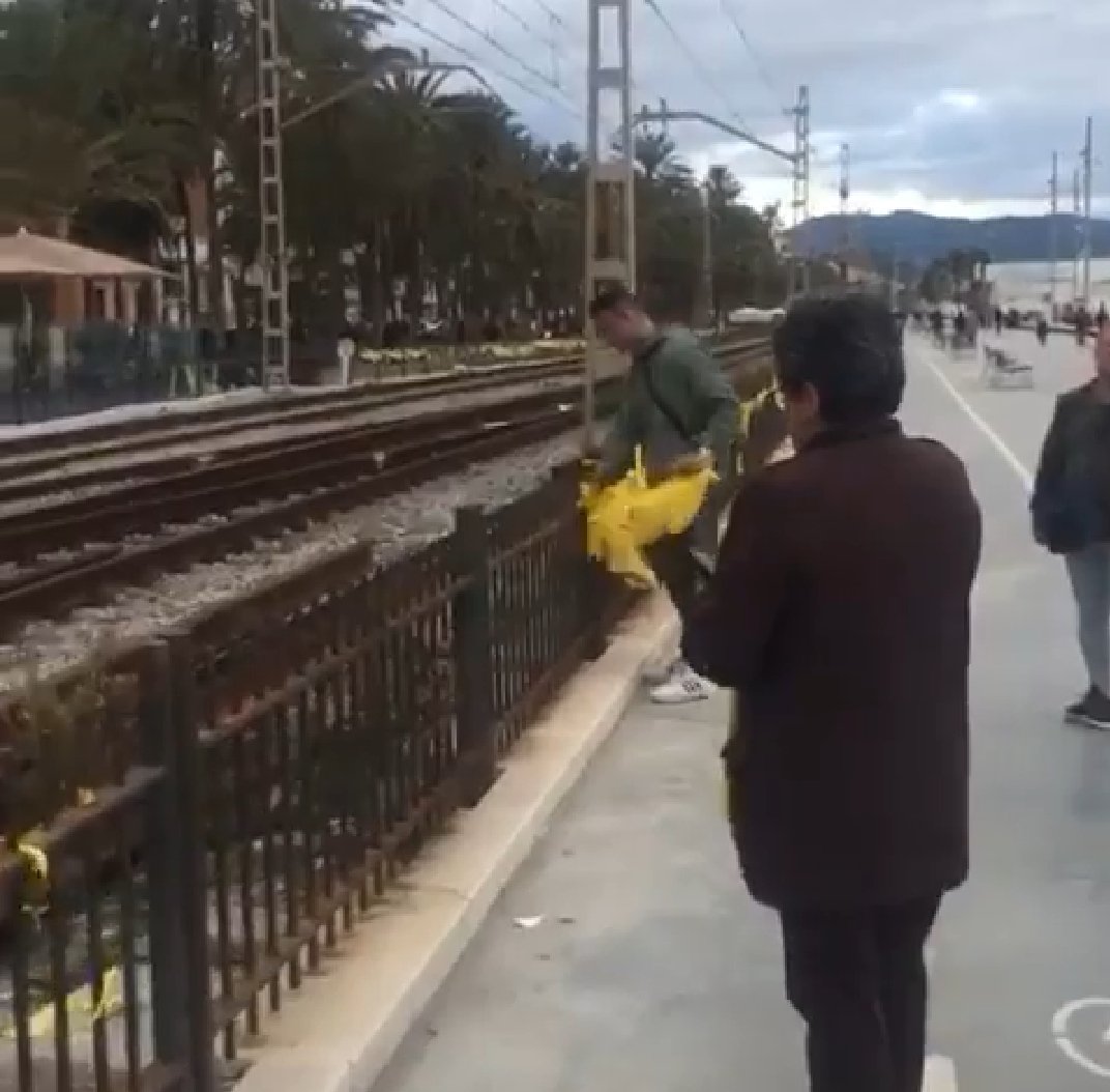 Pilar Rahola planta cara a un espanyolista que retira llaços grocs
