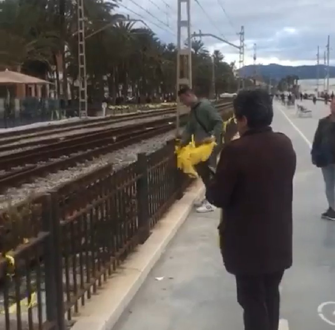 Pilar Rahola planta cara a un españolista que retira lazos amarillos