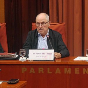 El síndic insta al Govern a reclamar el retorno de los pagos del Castor
