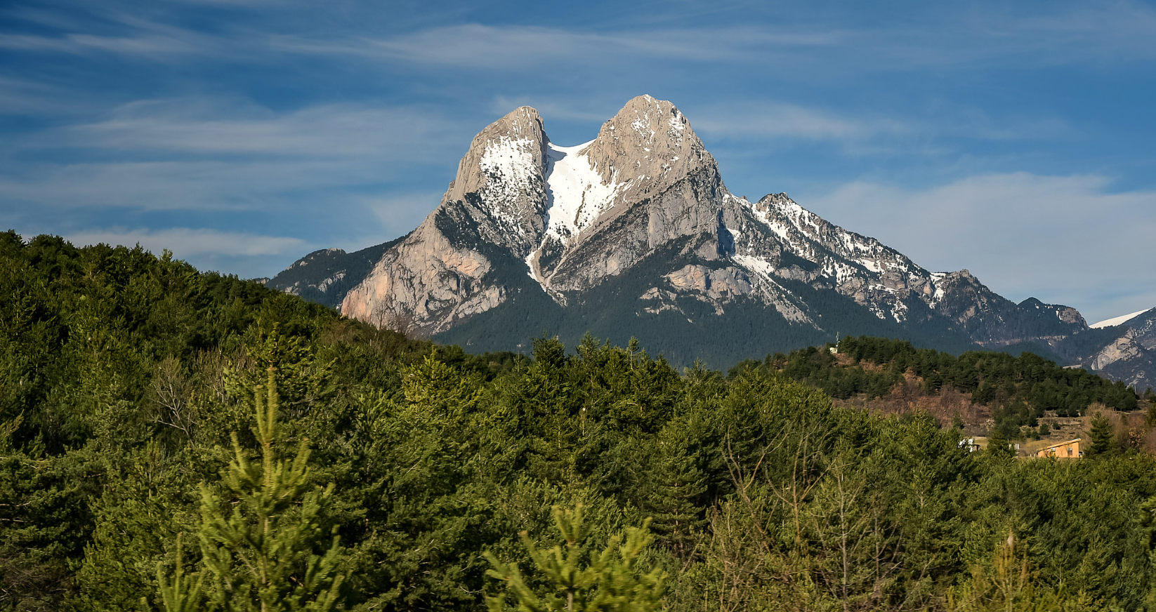 Las especies amenazadas por el cambio climático podrían encontrar ayuda en medios urbanos