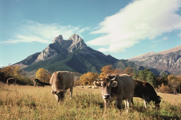 pedraforca