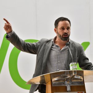 santiago abascal vox - efe santiago abascal vox - efe