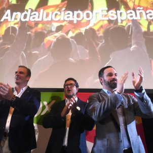 vox santiago abascal ortega smith sevilla - efe vox santiago abascal ortega smith sevilla - efe