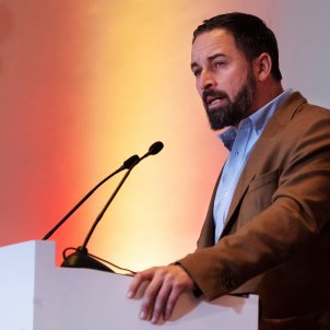 santiago abascal vox - efe santiago abascal vox - efe
