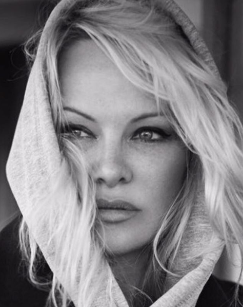 pamela anderson2 pamela anderson2