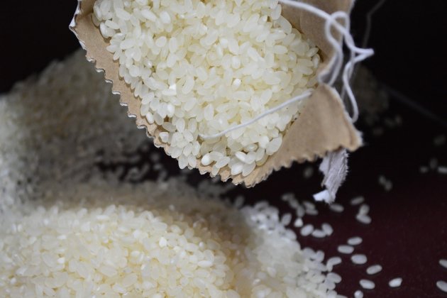 rice 2061877 1920