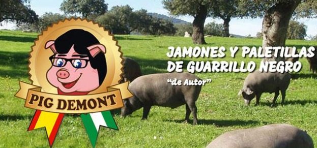 pig demont