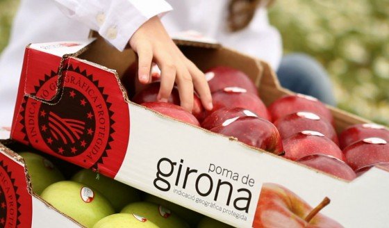 manzana de girona DOP