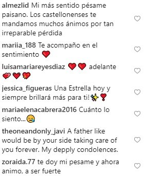 comentaris silvestre instagram pare 1