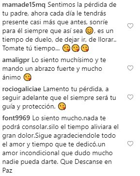 comentarios silvestre instagram padre 2