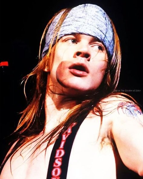 axl rose instagram