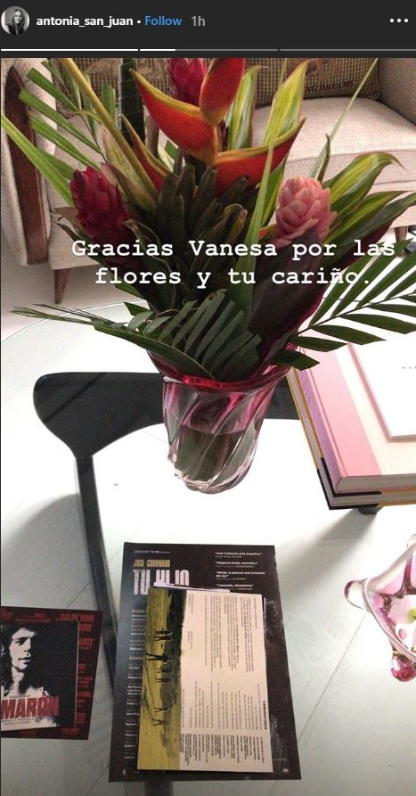 antonia san juan alta instagram flors