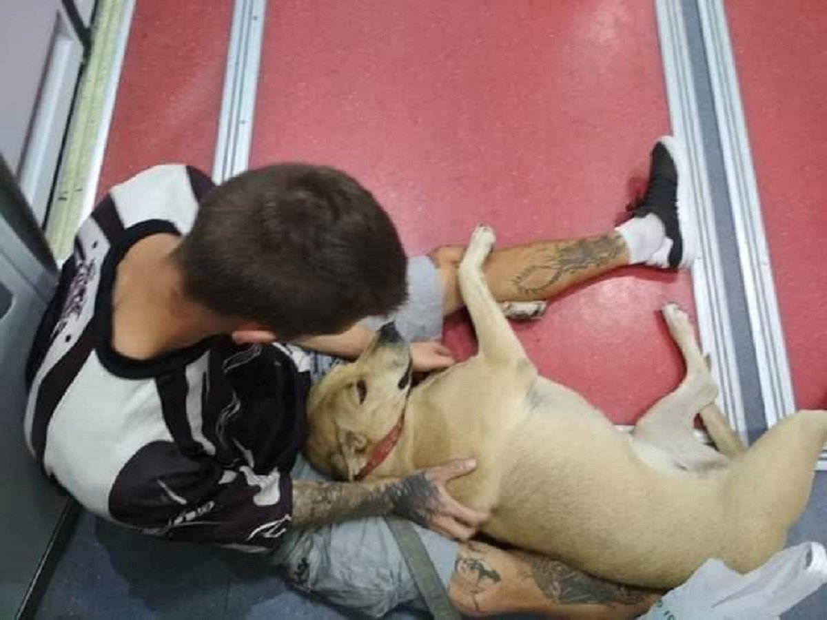 La Guàrdia Urbana farà cursos per aprendre a tractar amb animals arran del cas Sota