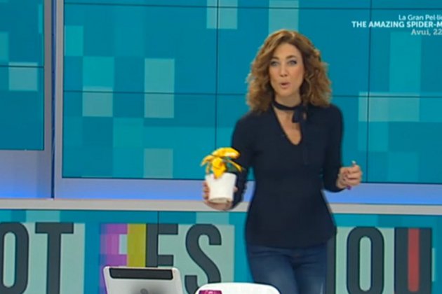 melero amarillo tv3