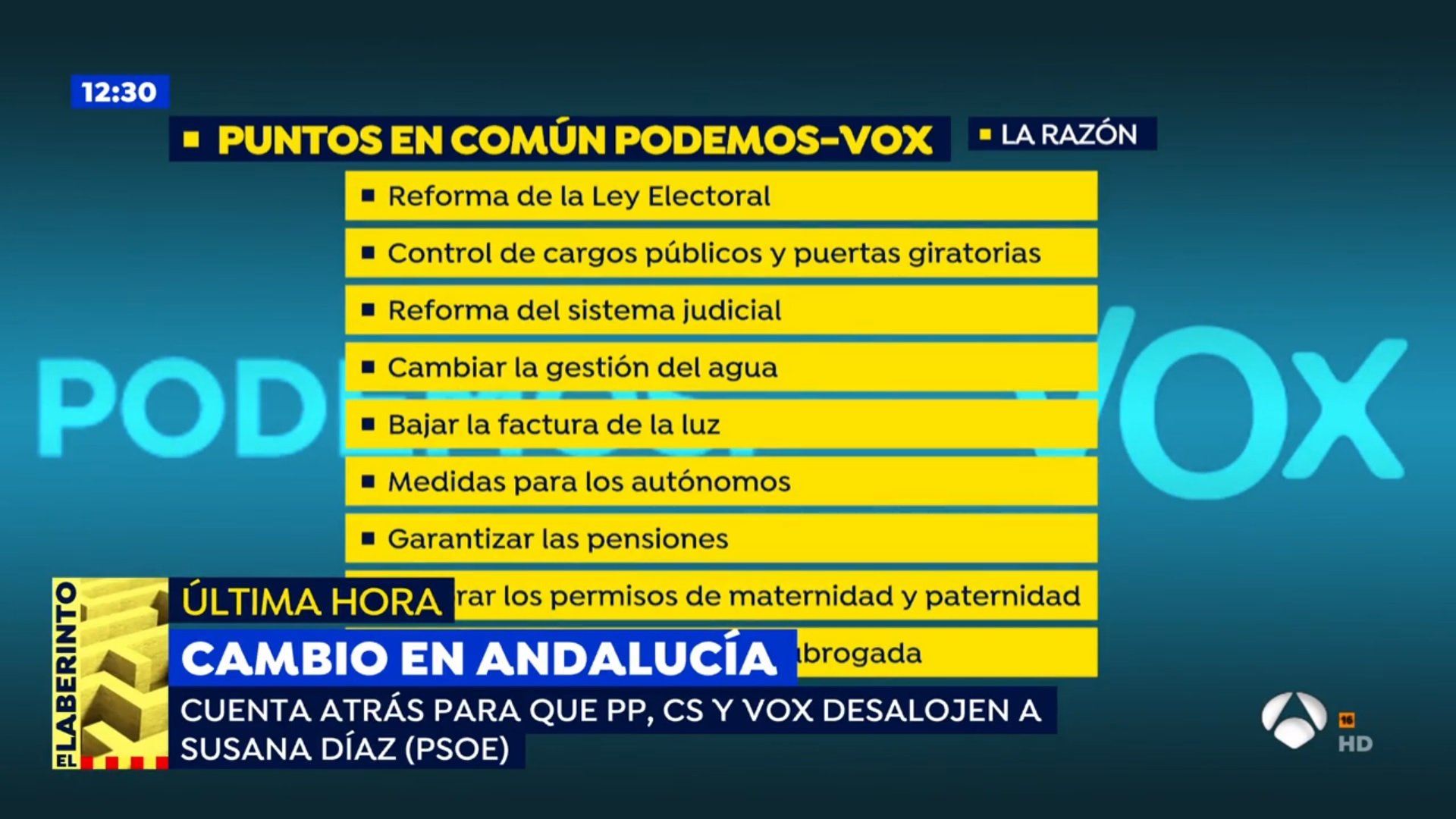 puntos comu podemos vox