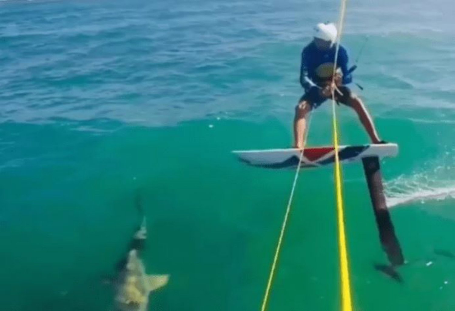 Video: Un kitesurfista vive momentos de terror al chocar con un tiburón
