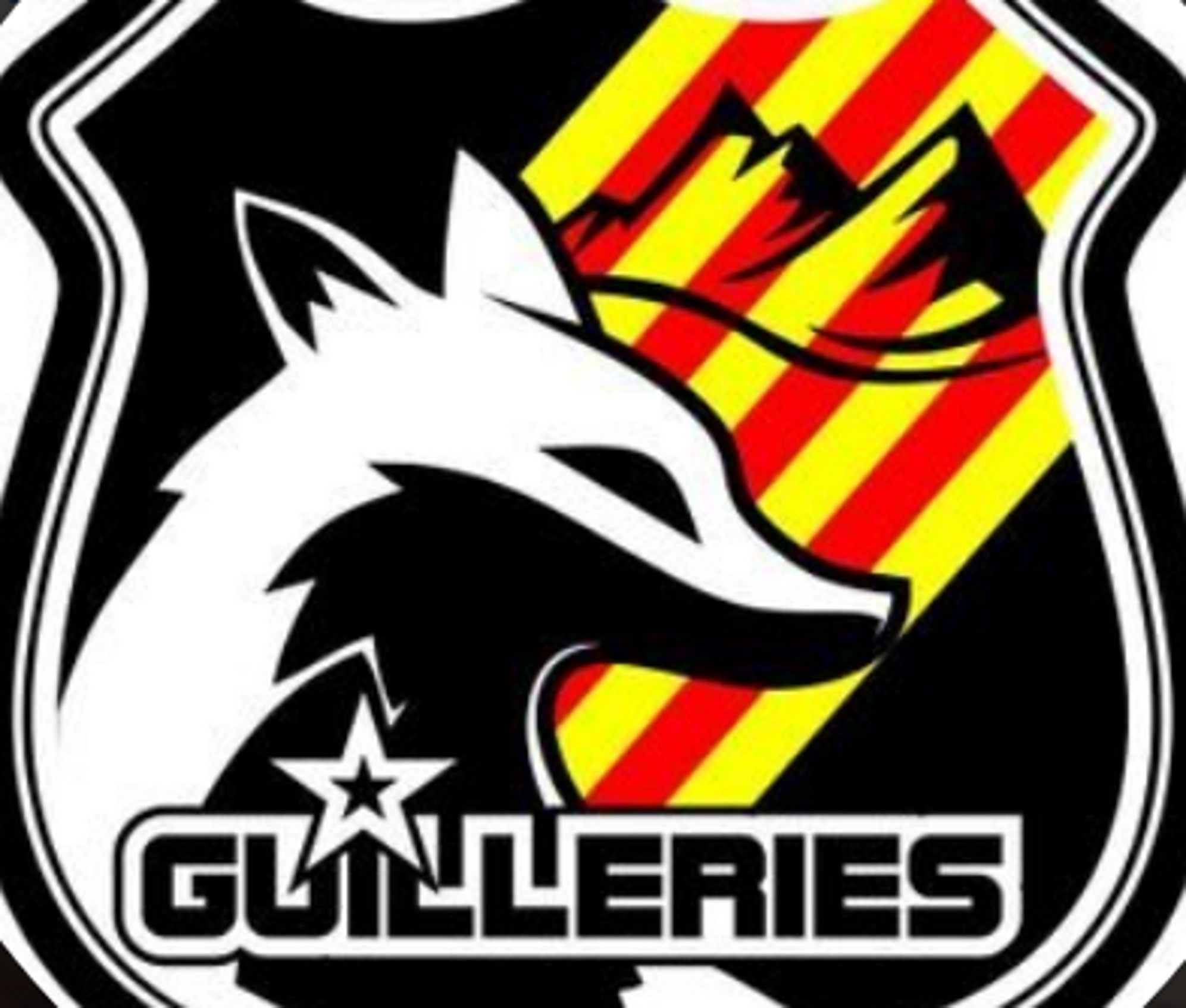 El col·lectiu Guilleries adverteix de connivència als Mossos amb la policia espanyola