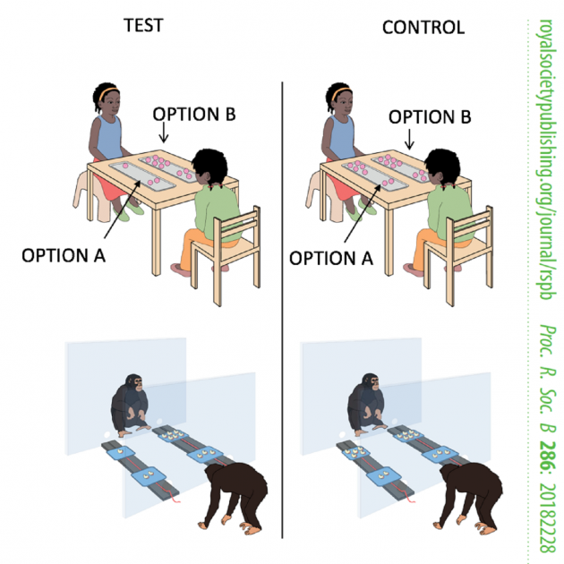 humanament irracionals