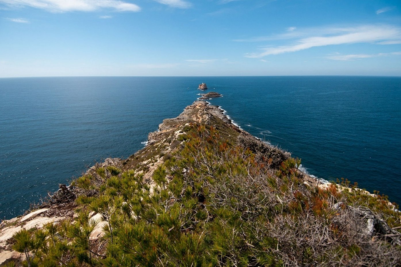 'La memòria de l'Oracle': El dolor dels vençuts a la Mallorca rural