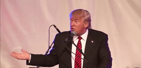 Donald Trup no ho sé GIF