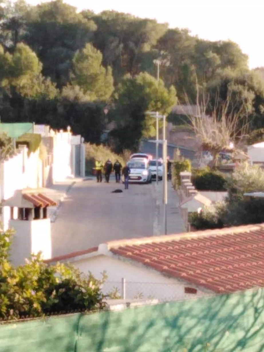 La Policia Local de Segur de Calafell abat un gos a trets