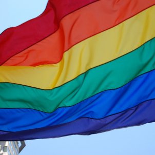transsexual lgtb lgtbi pixabay transsexual lgtb lgtbi pixabay