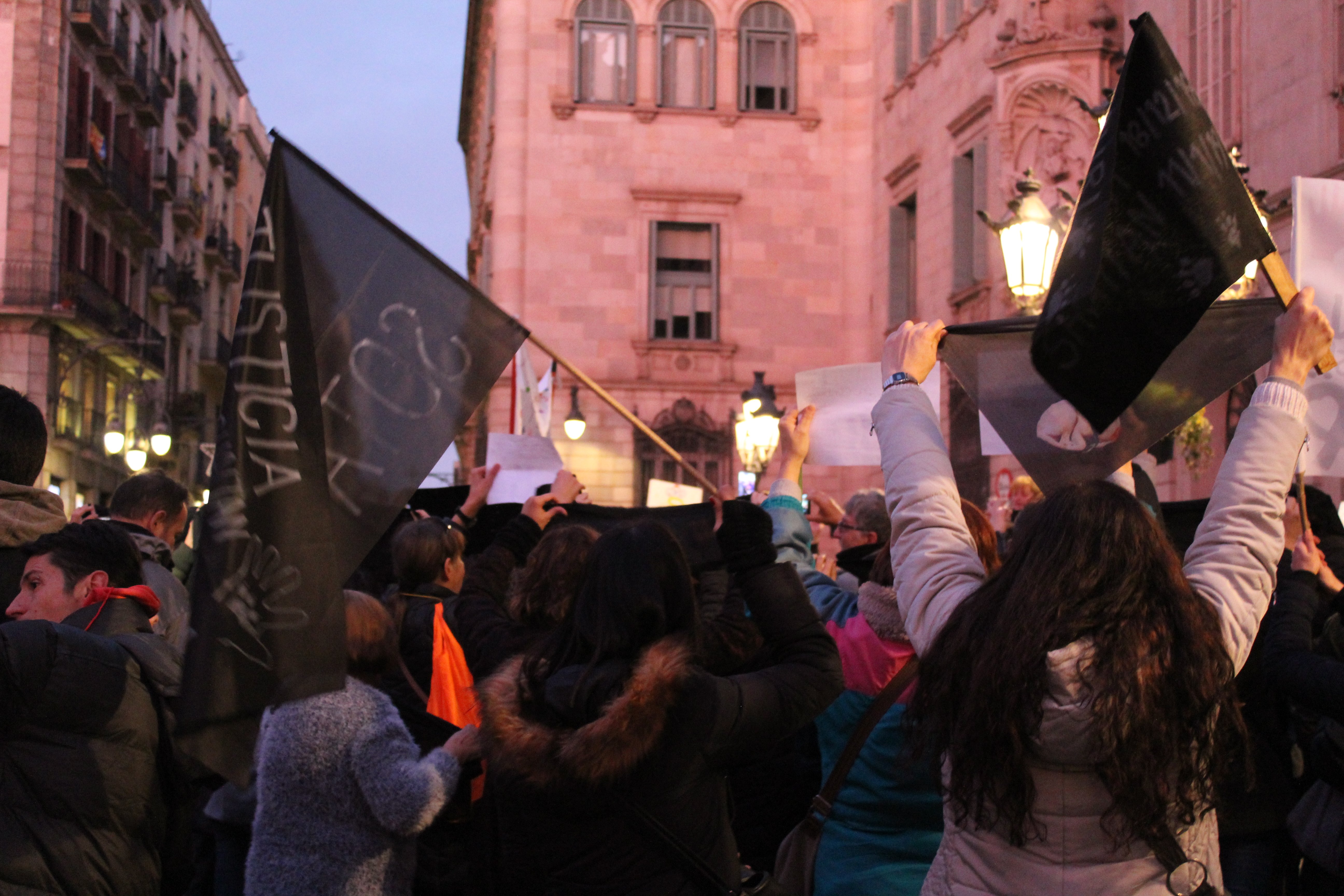 Els animalistes reclamen justícia per als dos gossos morts a mans de policies