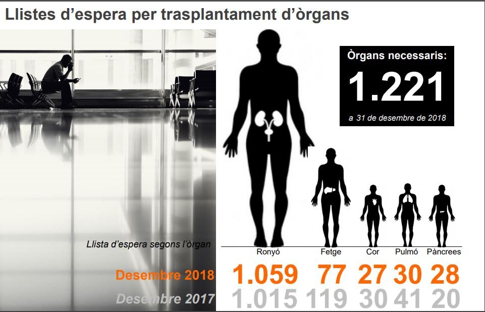 llistes d'espera trasplantaments 2018