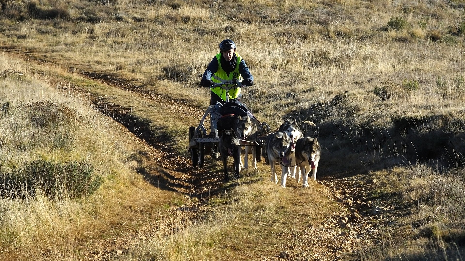 Nou repte sobre la neu per Eloi Contreras