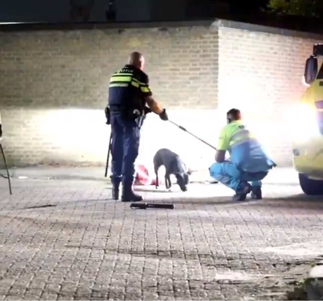 La impecable actuació de la policia holandesa que comparen amb la mort de la Sota