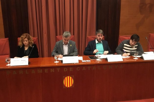 Comissió 155 Parlament   Carlota Camps