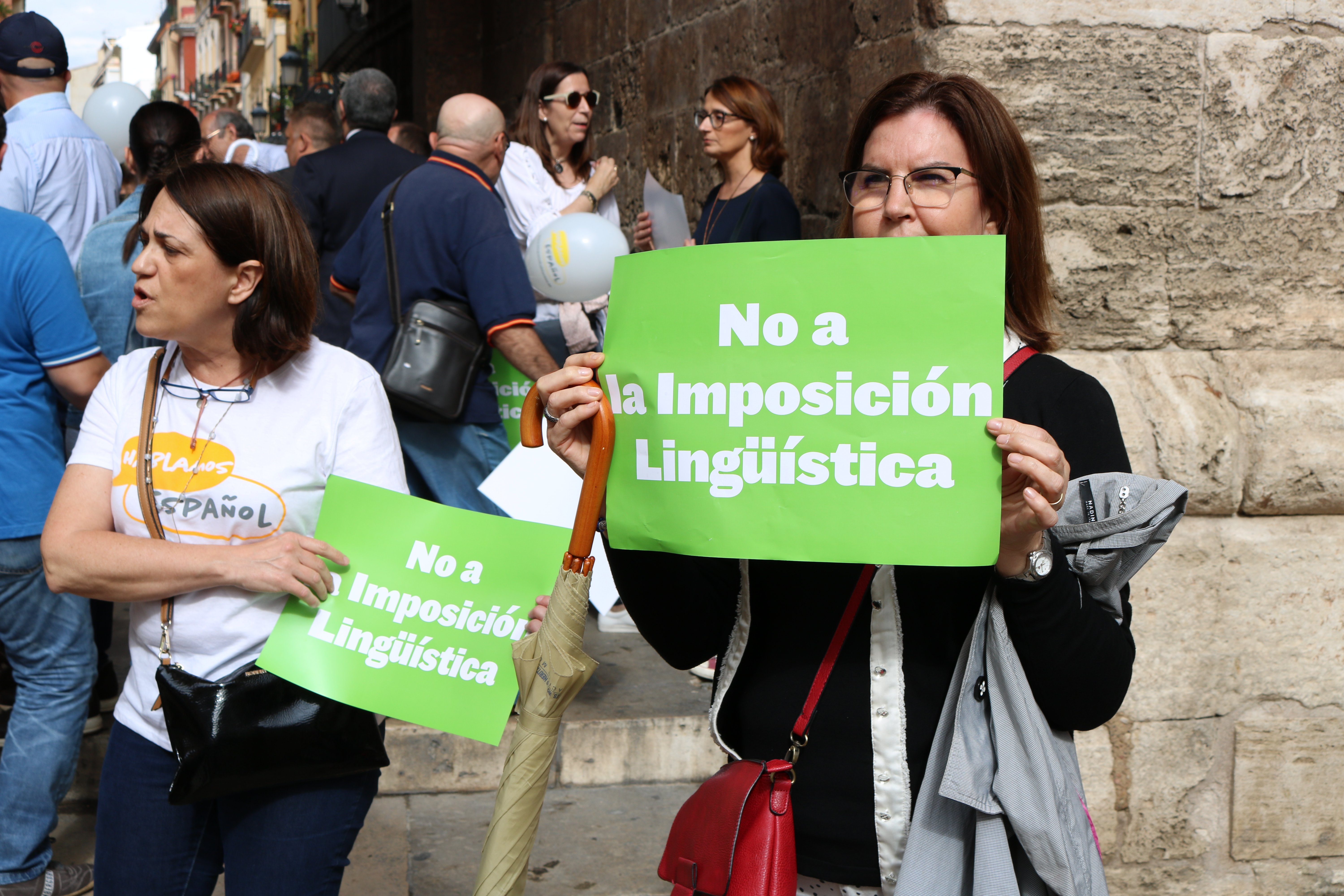 La Acadèmia Valenciana de la Llengua critica al PP y Ciudadanos por el uso electoral del valenciano