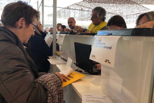 votacio llama congrios - marta lasalas