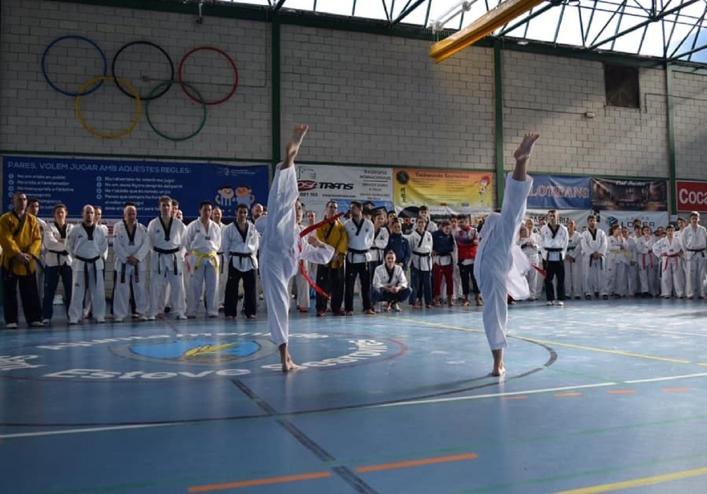 Taekwondo amb medallistes a Sant Esteve Sesrovires