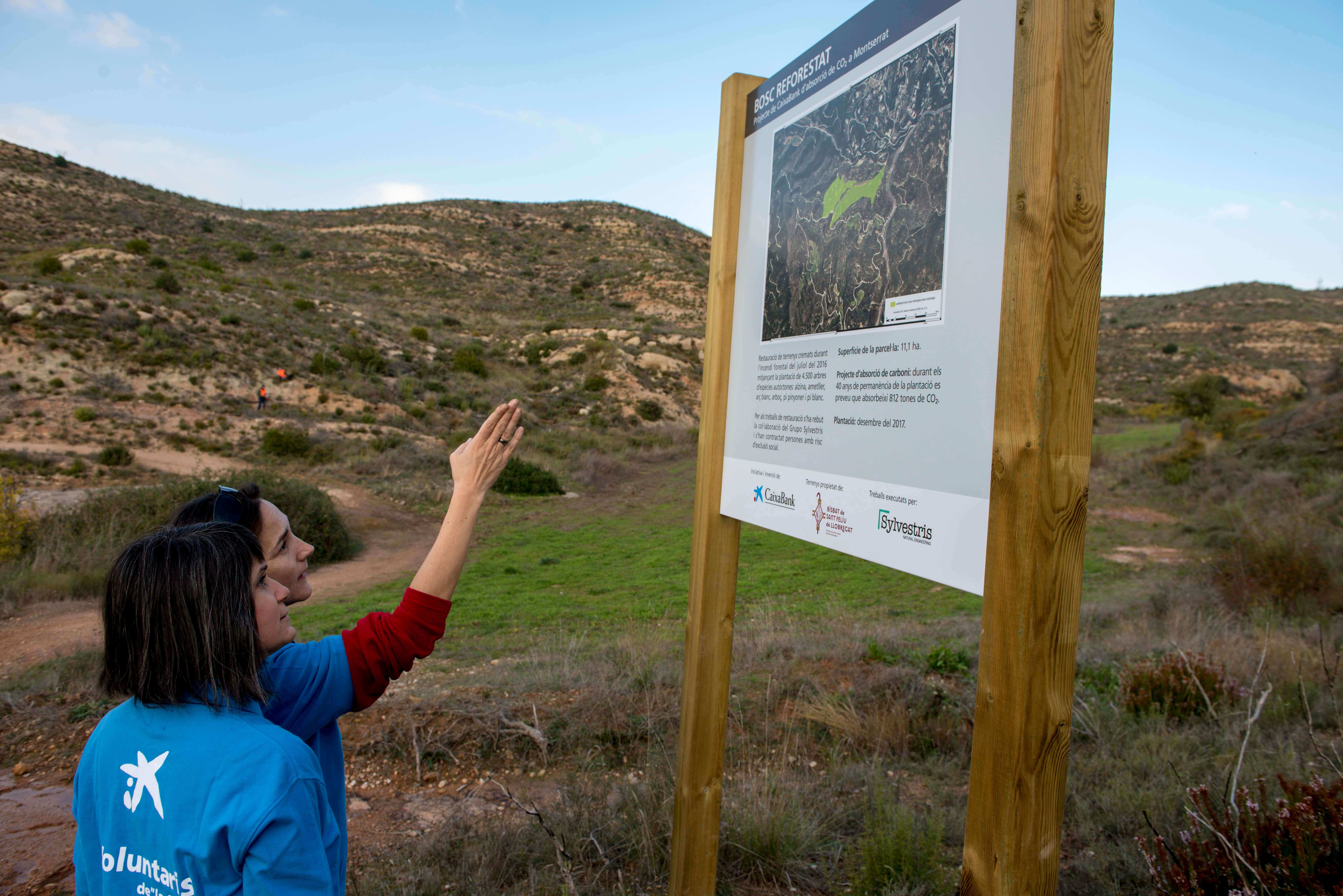 CaixaBank, reconeguda pel seu paper en la lluita contra el canvi climàtic