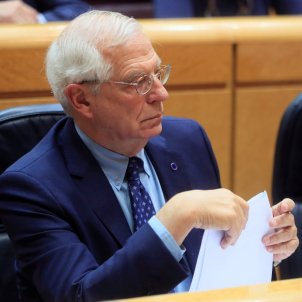 Ministre Josep Borrell Senat - Efe Ministre Josep Borrell Senat - Efe