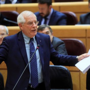 Ministre Josep Borrell Senat - Efe Ministre Josep Borrell Senat - Efe