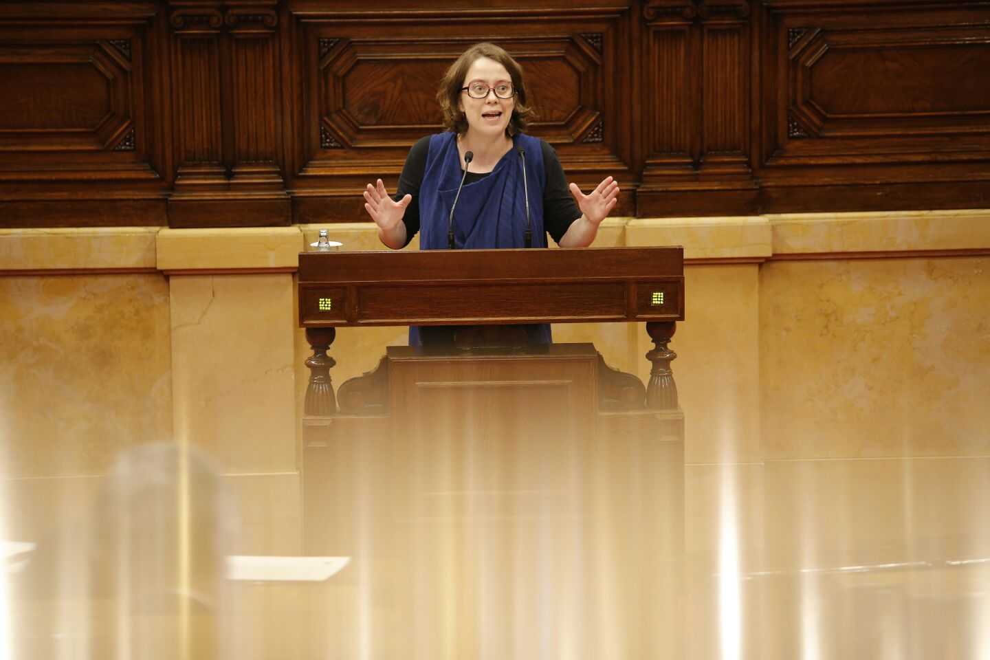 Auditoria ciutadana descafeïnada, estelades i vagància al Parlament