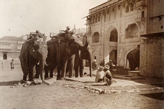 ciudad amber India emili juncadella diputacio barcelona