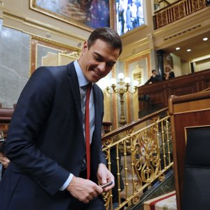 Pedro Sánchez Congrés Diputats EFE Pedro Sánchez Congrés Diputats EFE