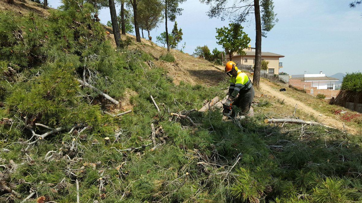 La Diputación de Barcelona trabaja todo el año para prevenir los incendios forestales