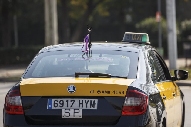 Luz Gonzalez Taxista feminista - Sergi Alcazar