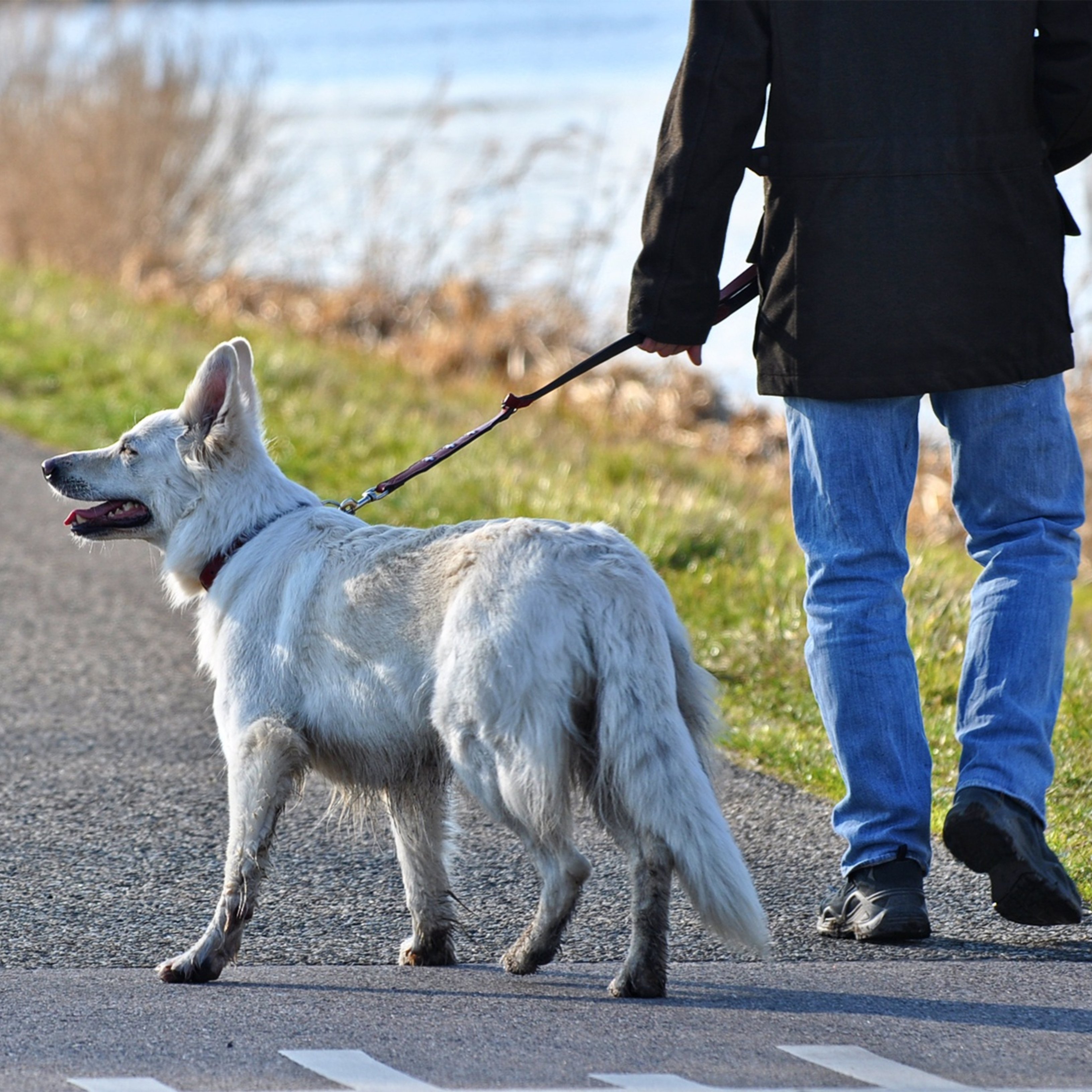 Prova l'HIIPA 10 minuts al dia: ja no tens excuses per no fer exercici