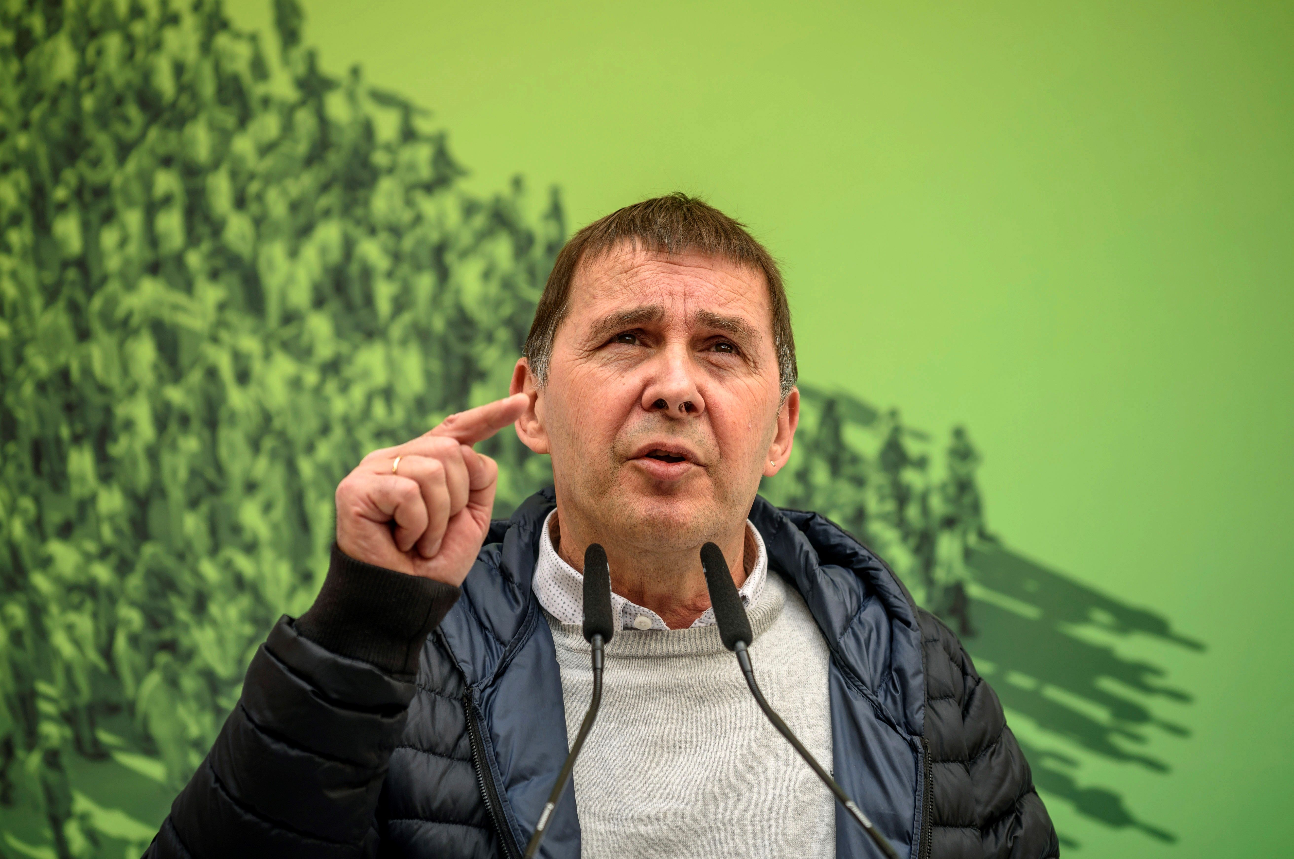 Otegi: "La unitat amb ERC inclourà actors de Canàries, Astúries, Aragó i Galícia"