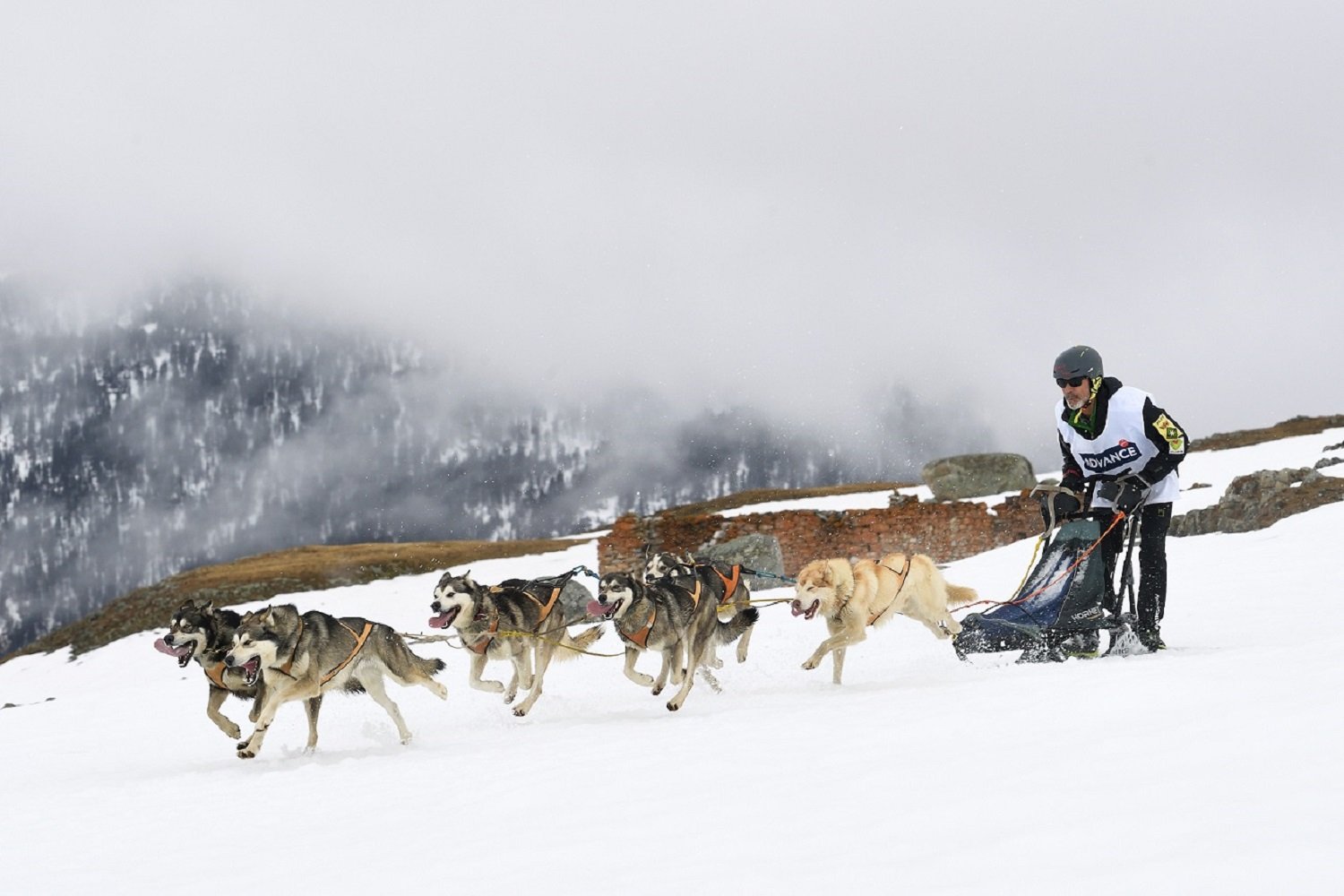 Els múixers de la FCEH s'embutxaquen 10 podis al Campionat d'Espanya