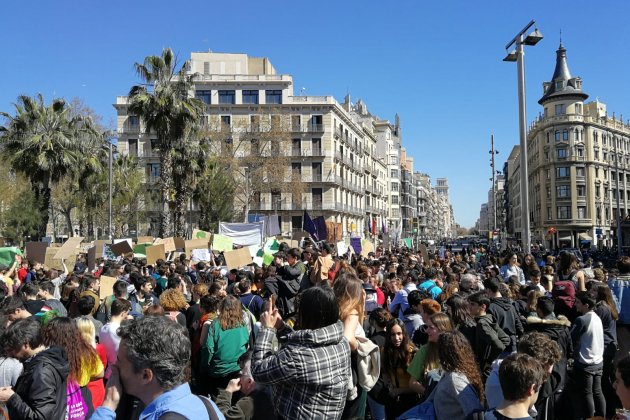 Plaça Universitat vaga canvi climàtic Anna Solé Plaça Universitat vaga canvi climàtic Anna Solé