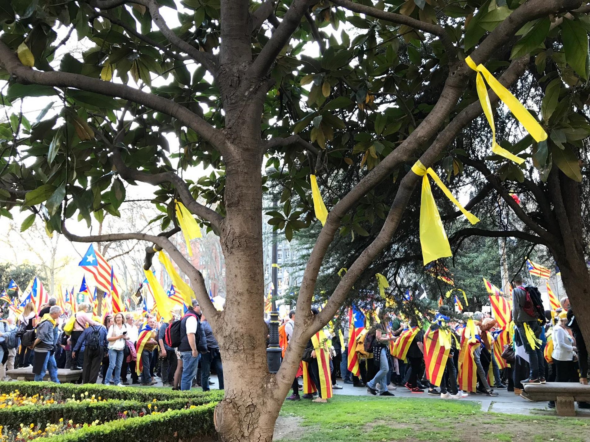 VÍDEO: "Hem vingut a acomiadar-nos"