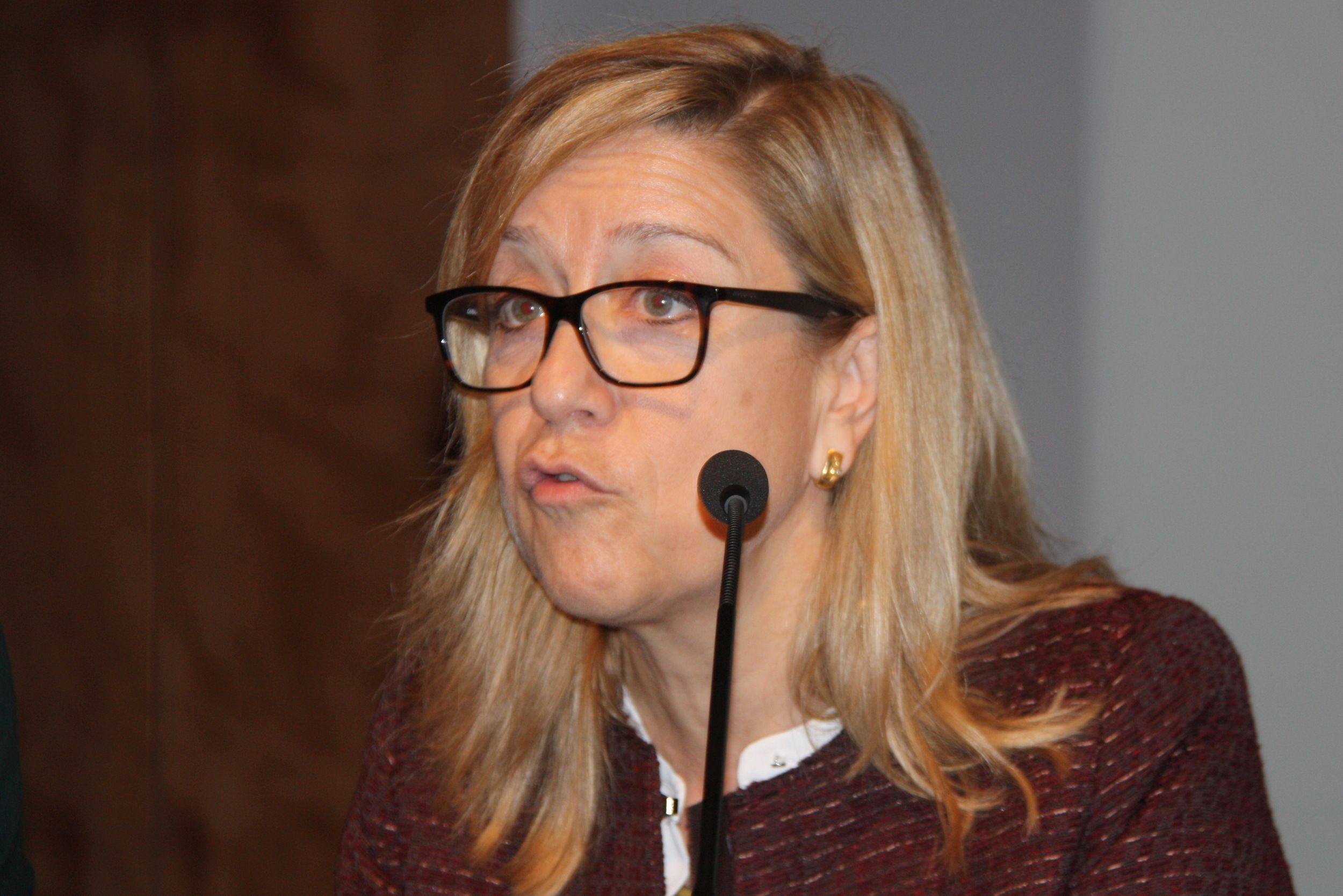 El manifest de l’AMI denuncia el 6-D que la Constitució s’utilitza contra Catalunya